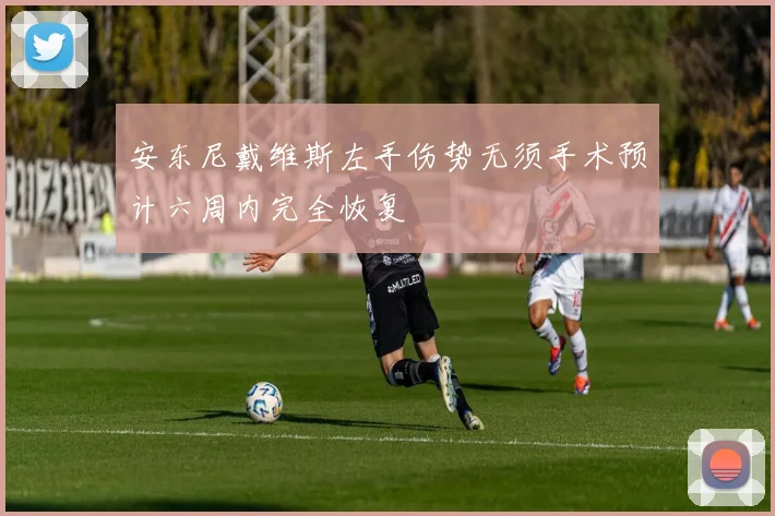 安东尼戴维斯左手伤势无须手术预计六周内完全恢复