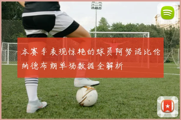 本赛季表现惊艳的球员阿努诺比伦纳德布朗单场数据全解析