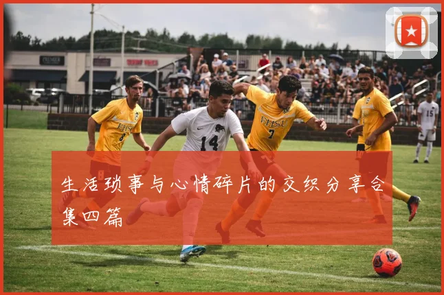 生活琐事与心情碎片的交织分享合集四篇