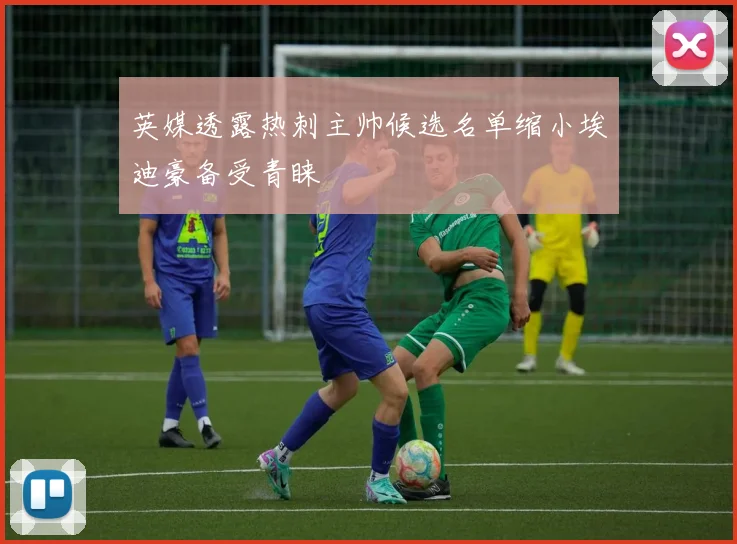 英媒透露热刺主帅候选名单缩小埃迪豪备受青睐
