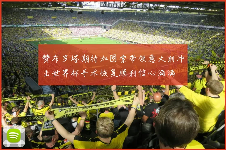 赞布罗塔期待加图索带领意大利冲击世界杯手术恢复顺利信心满满