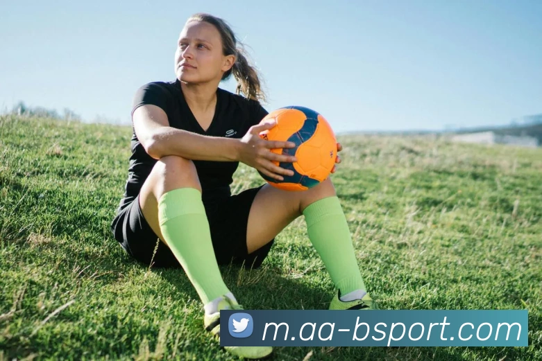 B体育平台生态图